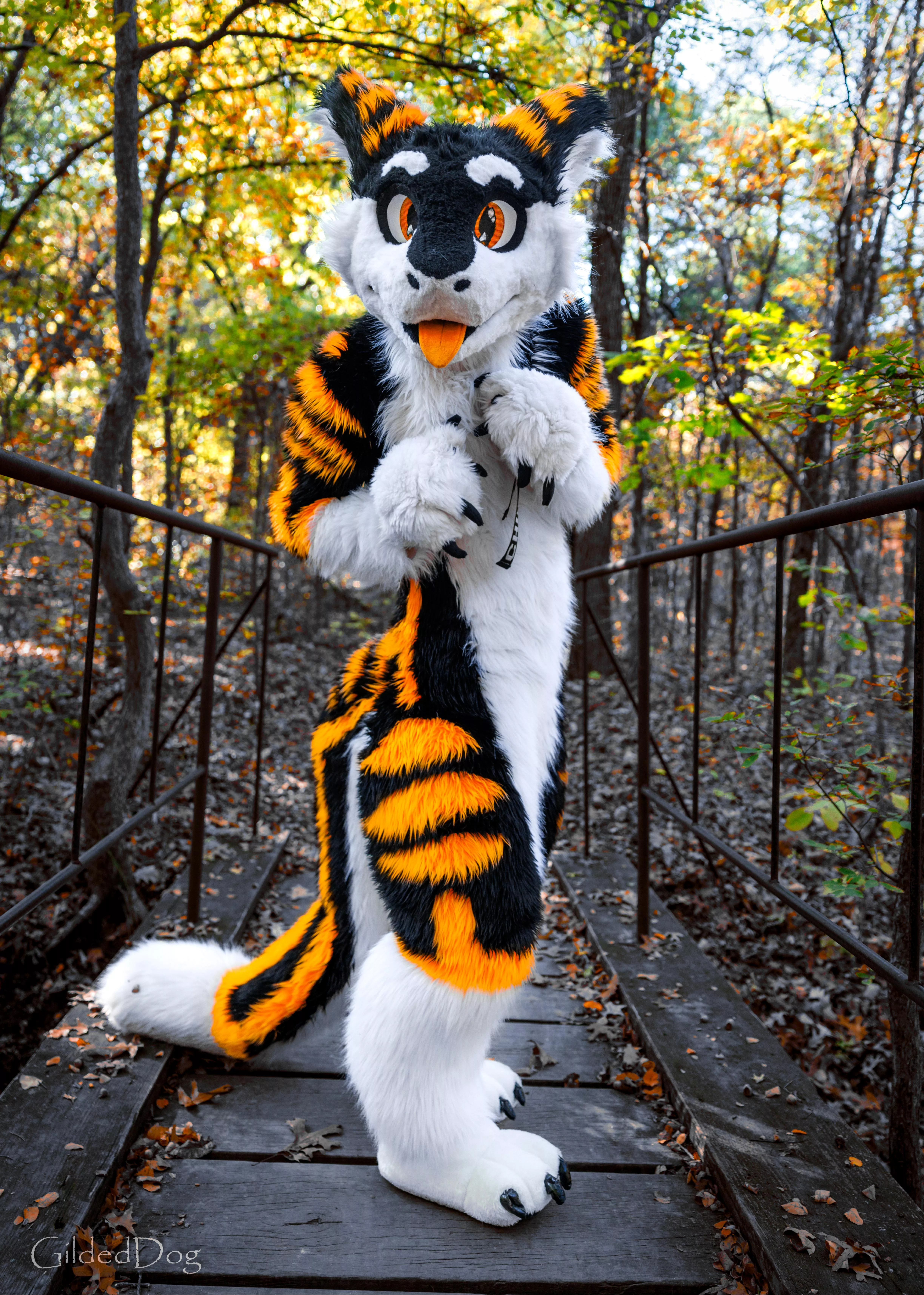 A Serg has appeared on your path! What do you do? :> #FursuitFriday posted by SilySox