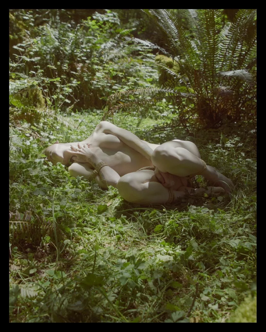 all tied up among the ferns… posted by quill_la_petite