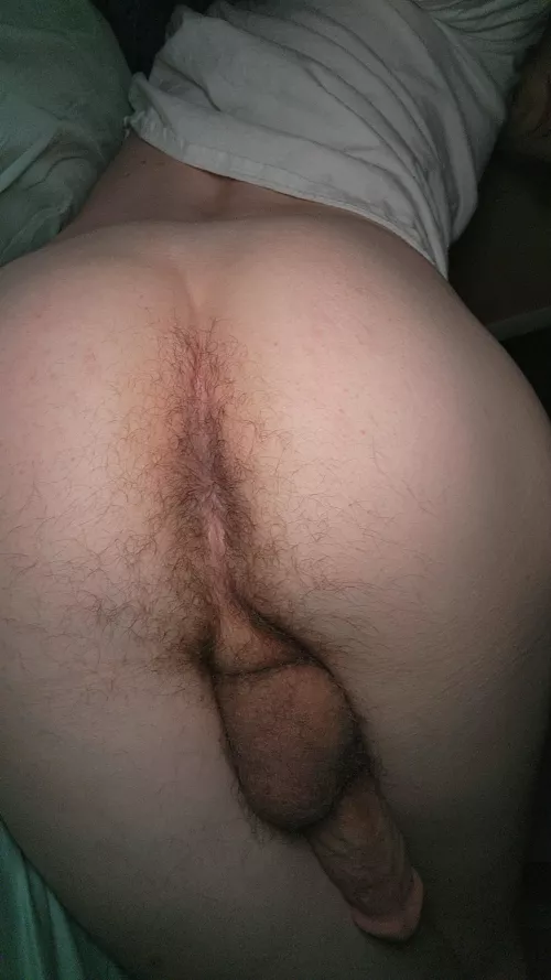 Hairy crack  by me_him_