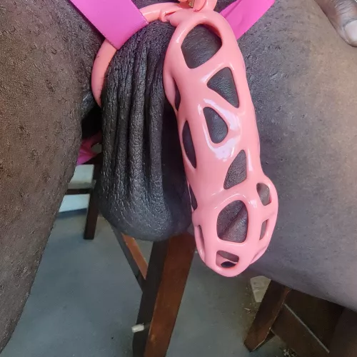 I Finally Got My Cage! by Sexy_Dev_CDPS