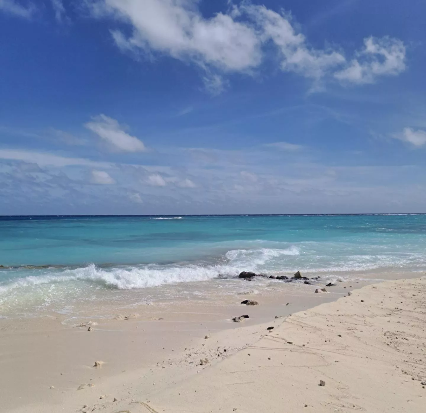 I see skies of blue
And clouds of white
The bright blessed day
The dark sacred night
And I think to myself
What a wonderful world posted by ppkpria