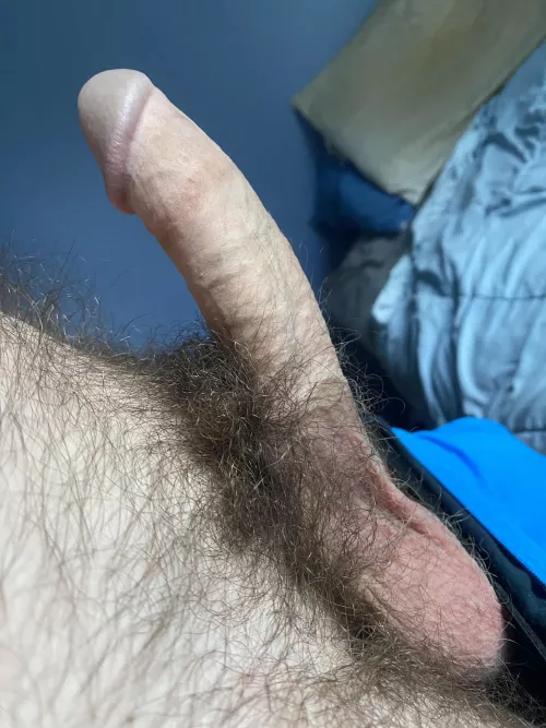 I’ve been told the way it curves makes it feel so good by luhfluke