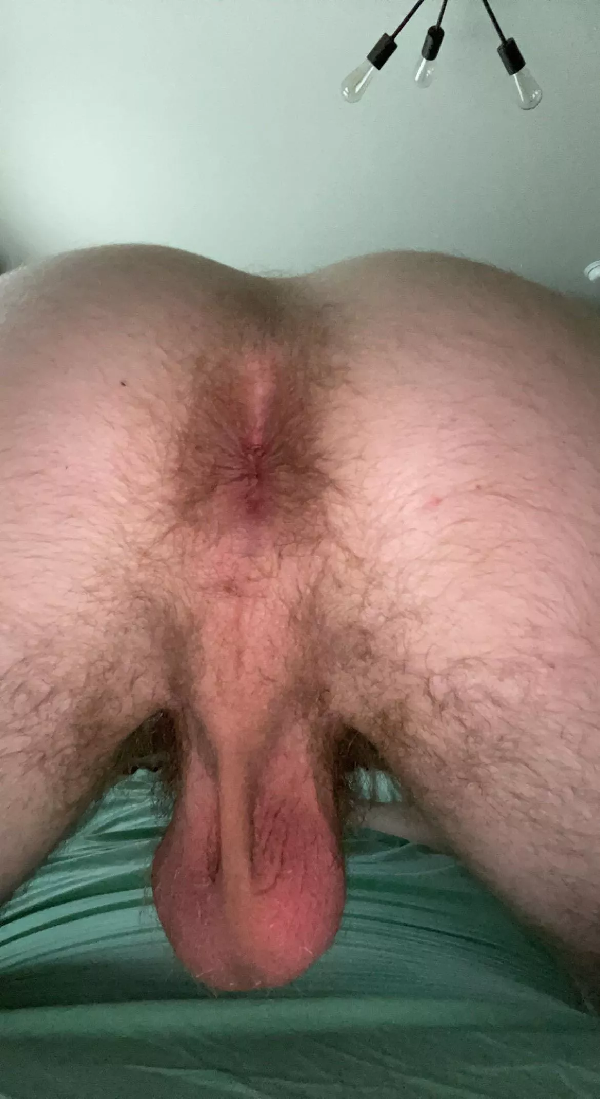 Let me make out with your raunchy hole and I’ll let you do whatever you want to mine  posted by Helpful-Waltz-5962