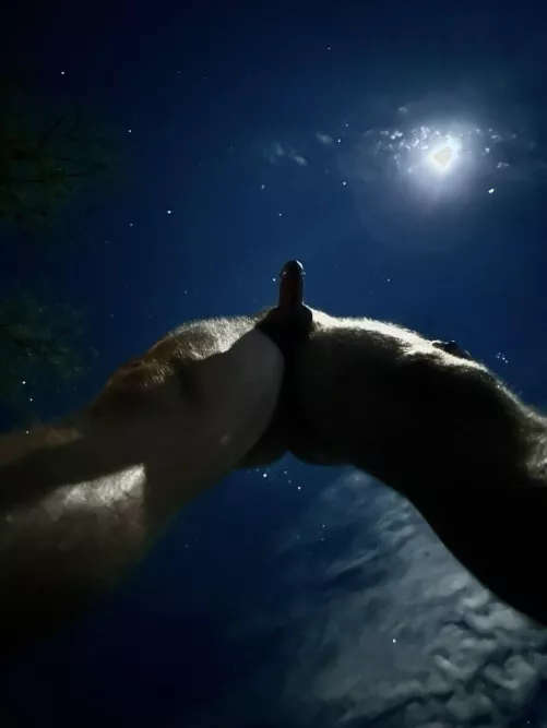 Life, the Universe and Everything by mufasjg