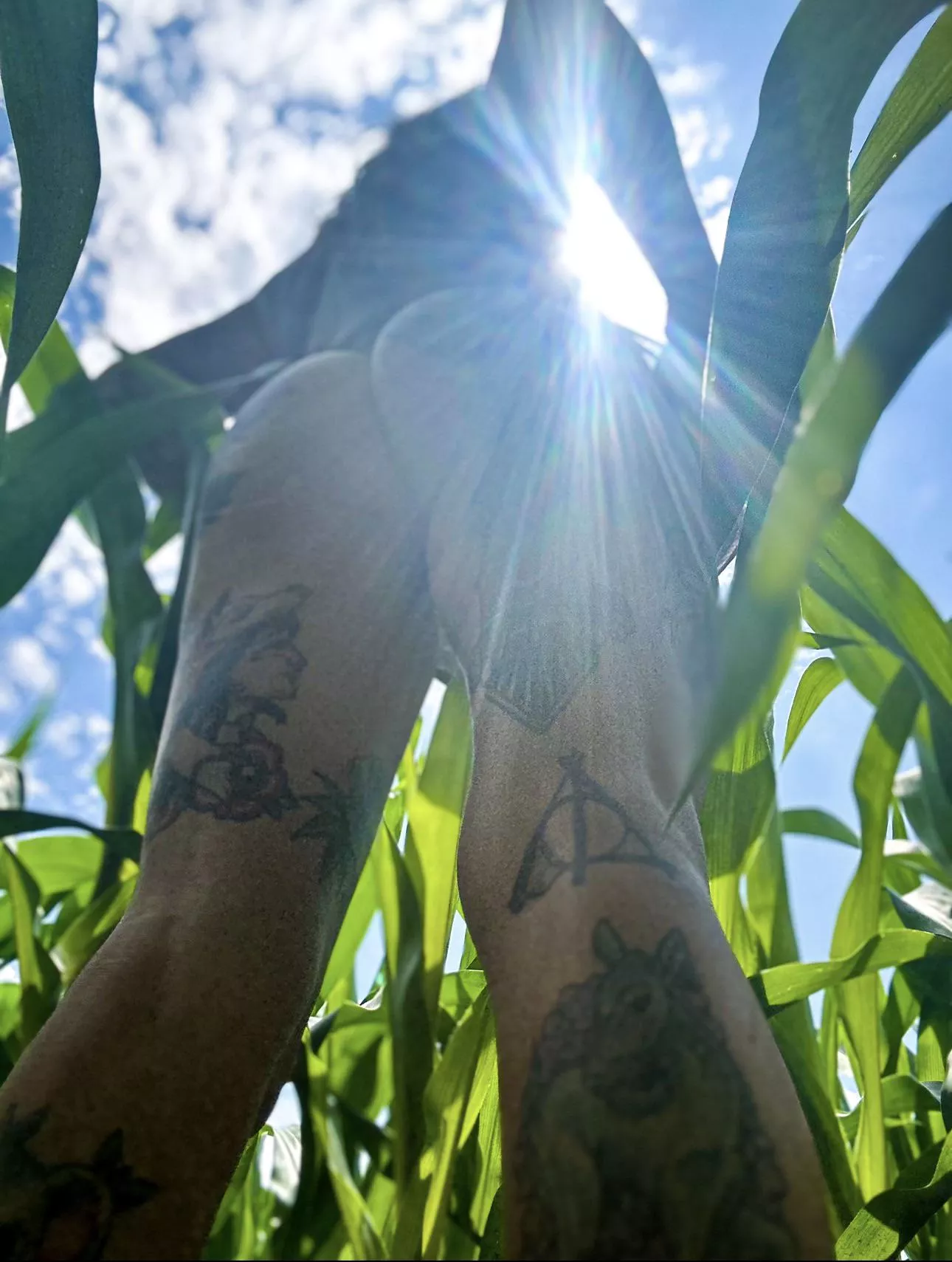 Saw the opportunity, took the opportunity  posted by nakieplantlady