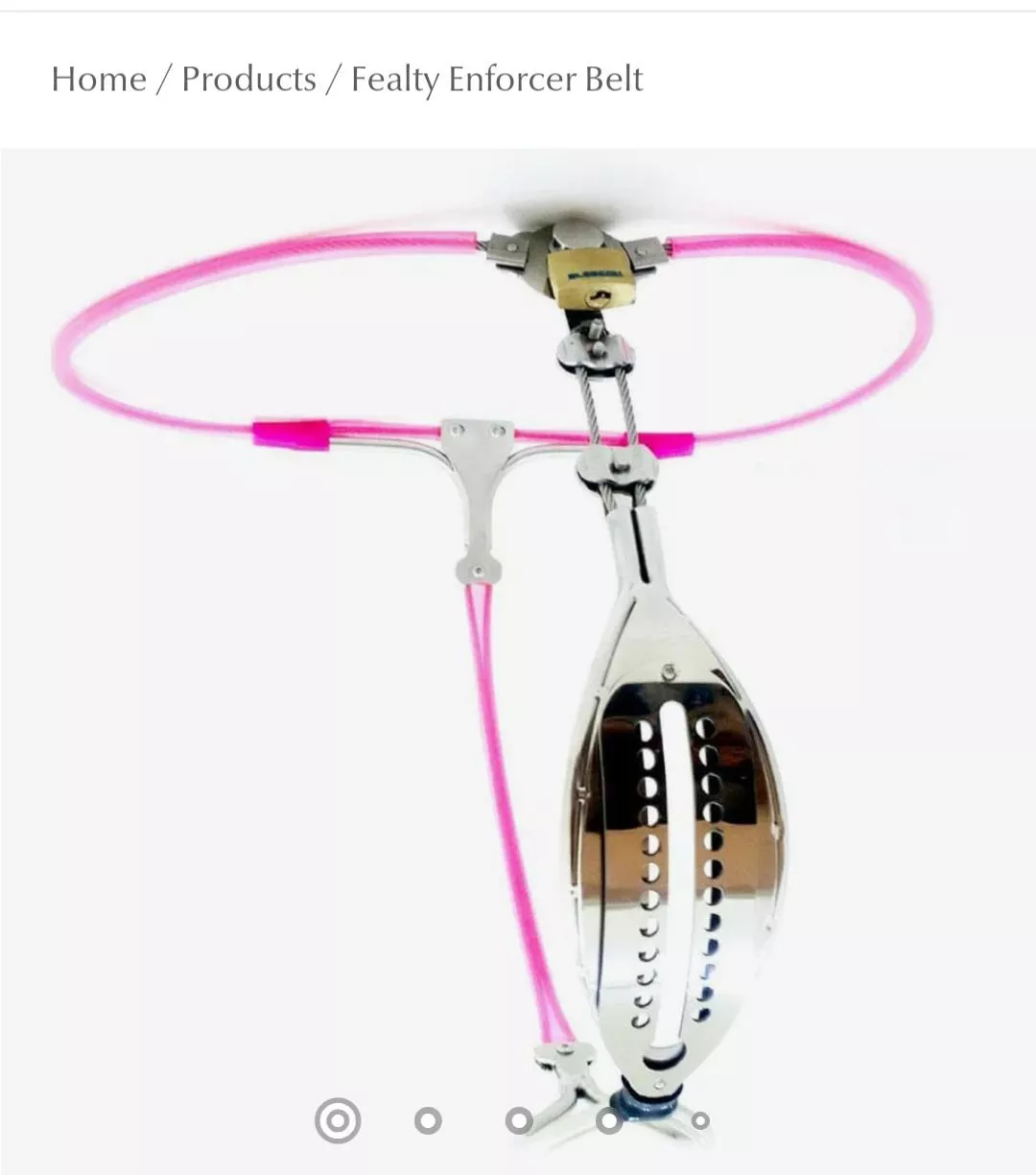 Starting my chastity journey posted by Snowpixzie