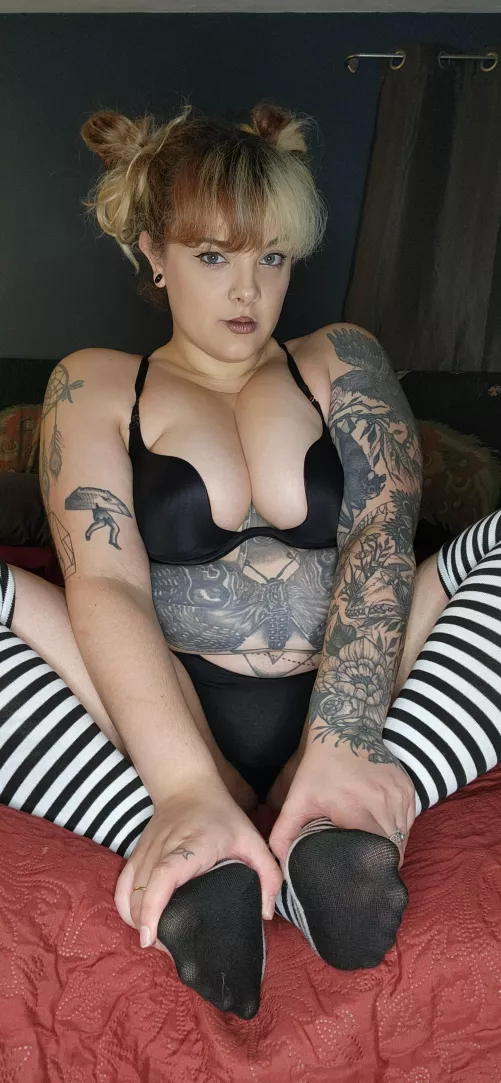 These striped thigh highs are irresistible [F] by MaeveMuscaria