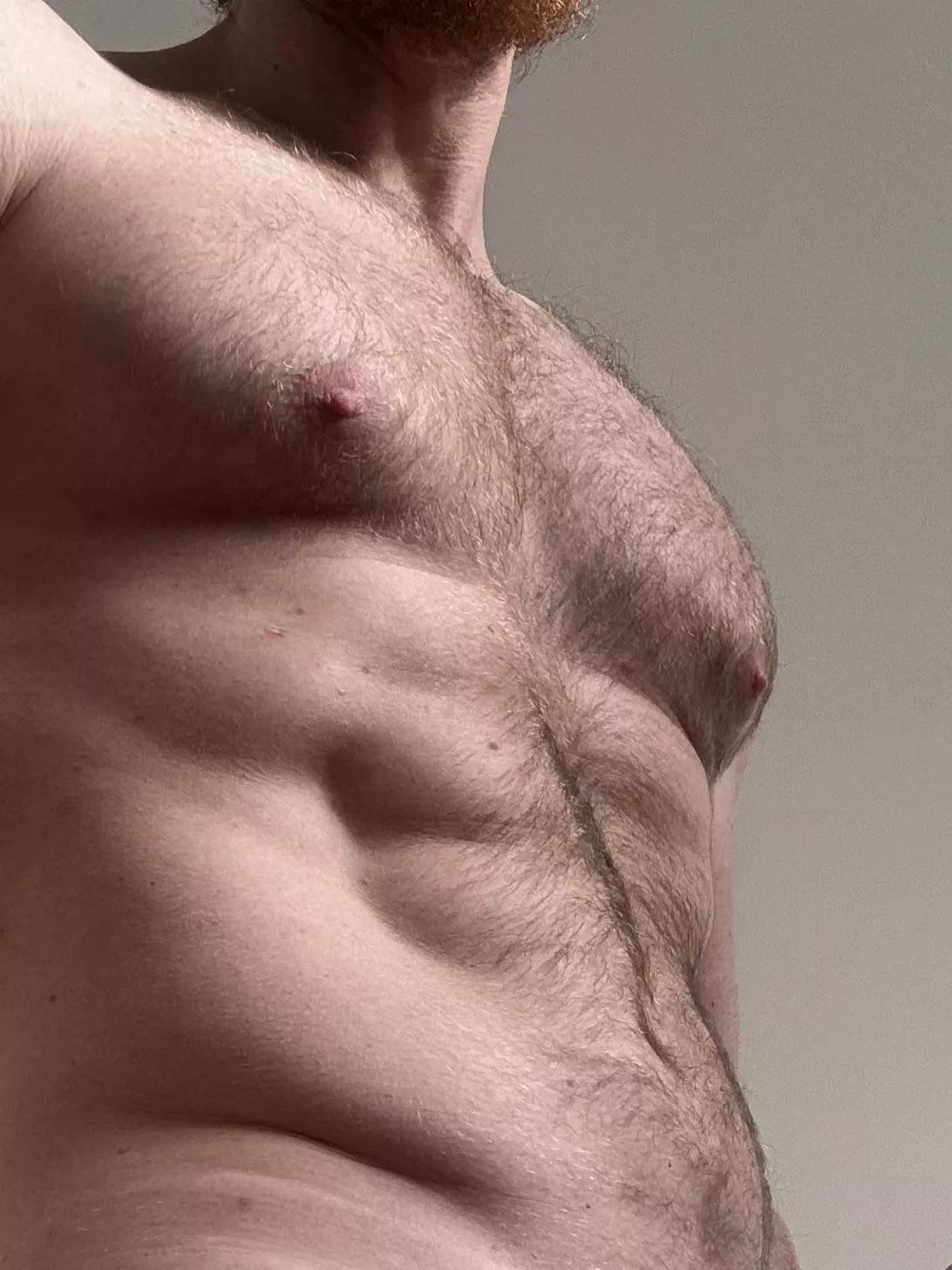 Wanna cuddle this Hairy hunk with big chest ? posted by Bearded_alpha1