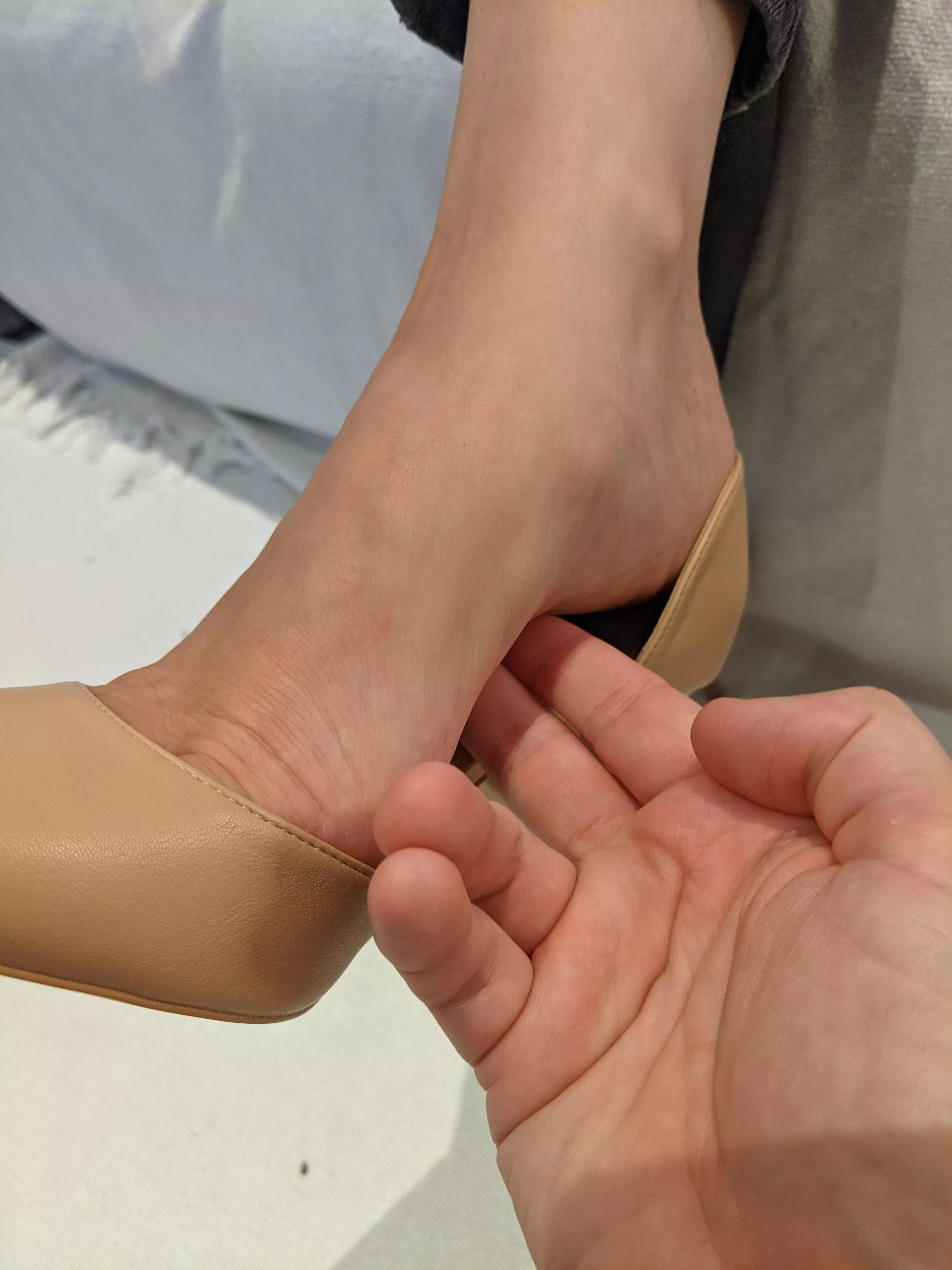 Wanna tickle my arch? posted by aussiearches