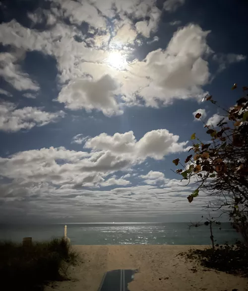 Watching the moonrise  by Shipwrecklou