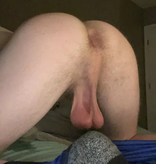 we can eat each other out by Helpful-Waltz-5962