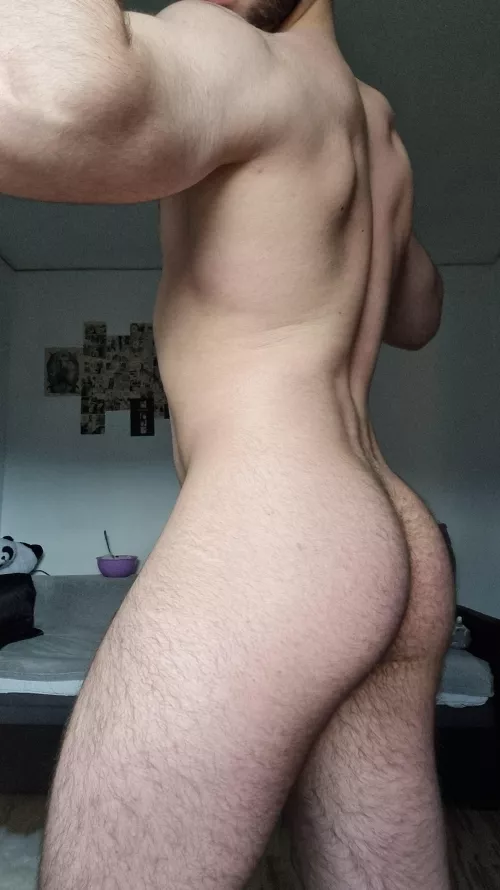 Why do people in general don't like hairy ass? Would you fuck me ? by Luxationers