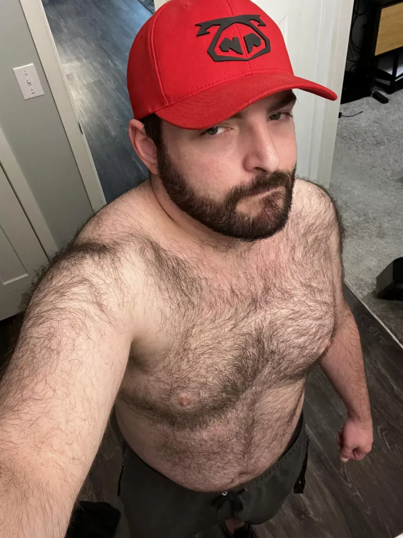 Woof? posted by NightOwlGate8