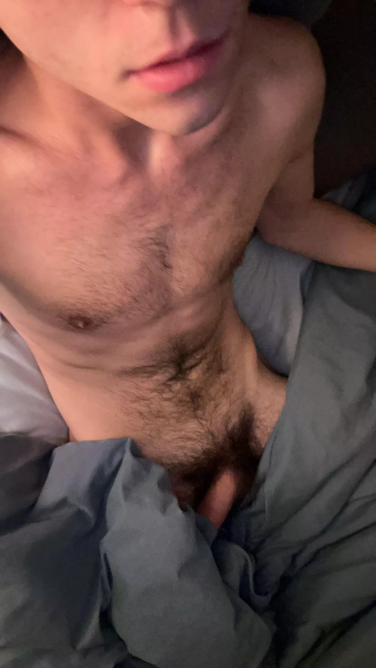 20, been thinking about trimming posted by michaelsmithh5252