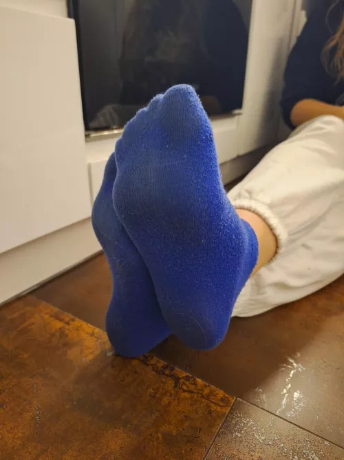 Blue socks [f] by Sophia_socks