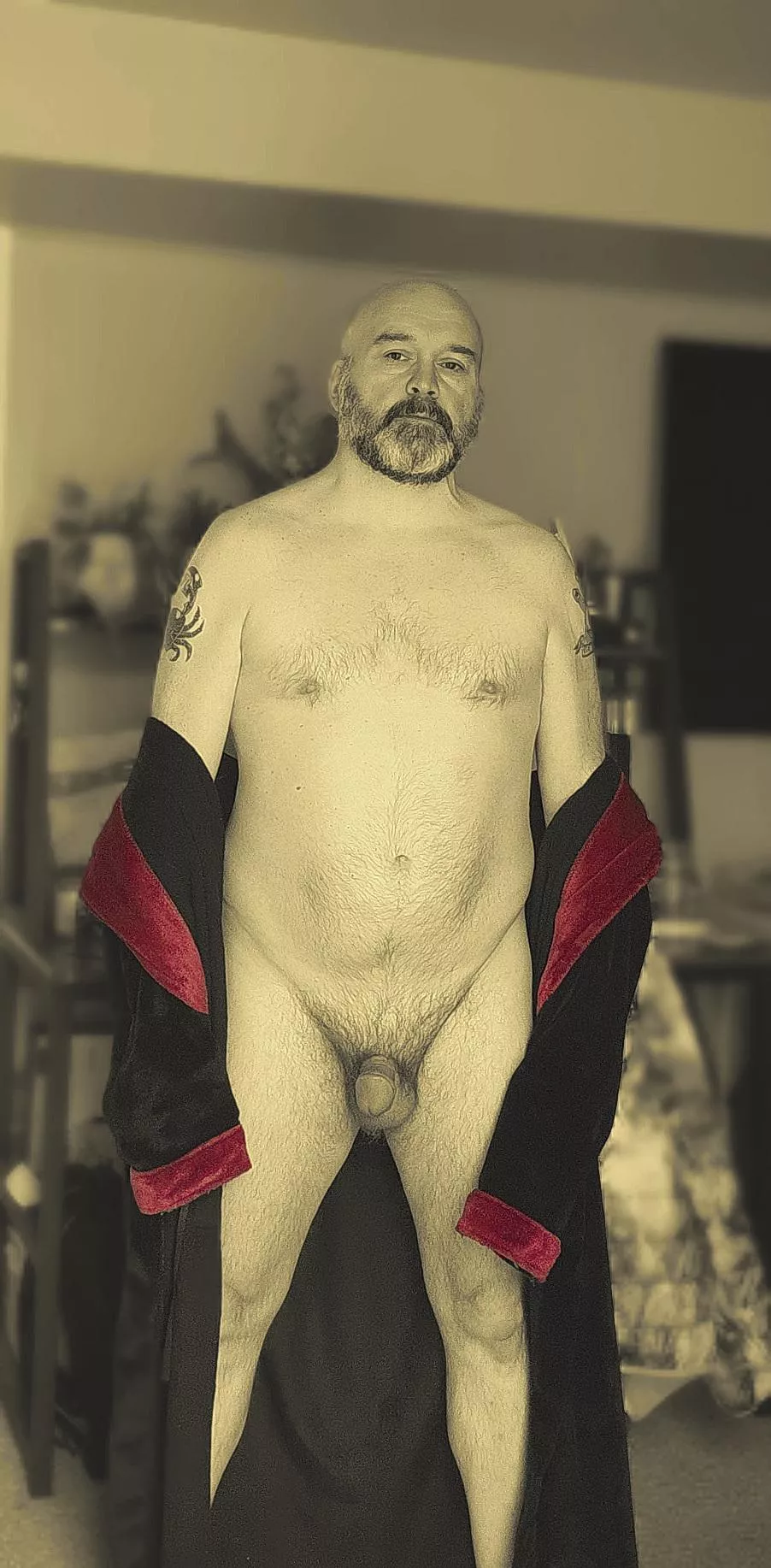 Confidence in one's self (53) posted by orangechrub