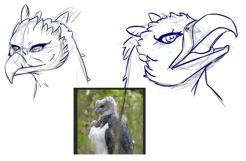 Doing a little study to warm up the hand !! posted by fernan_constant