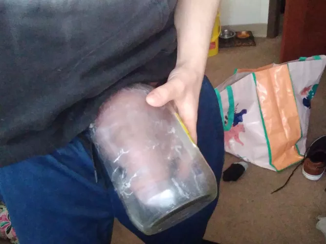 Going big by 4264sloth