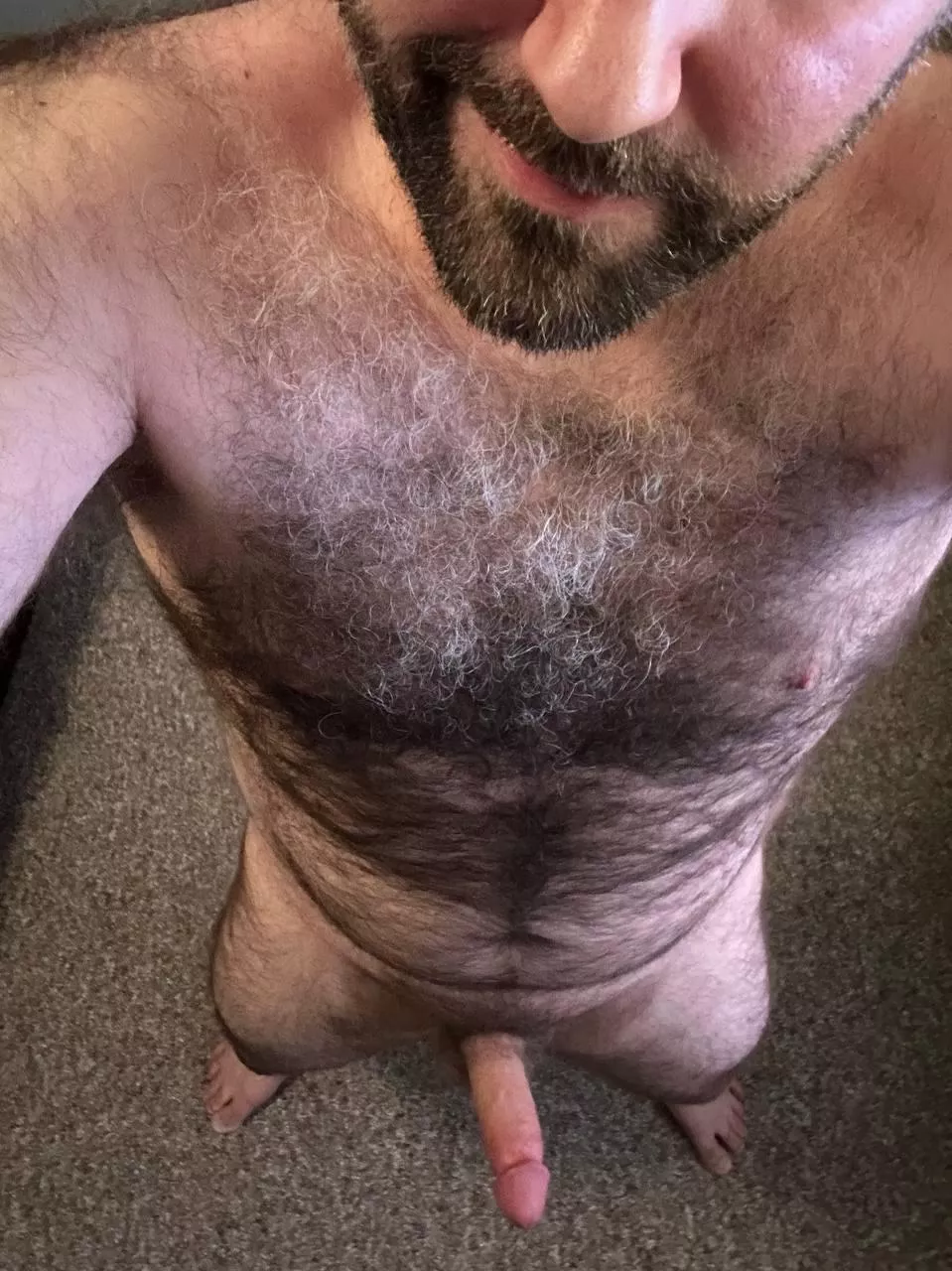 Hope you like hairy dad bods [41] posted by Bitter_Employ_4788