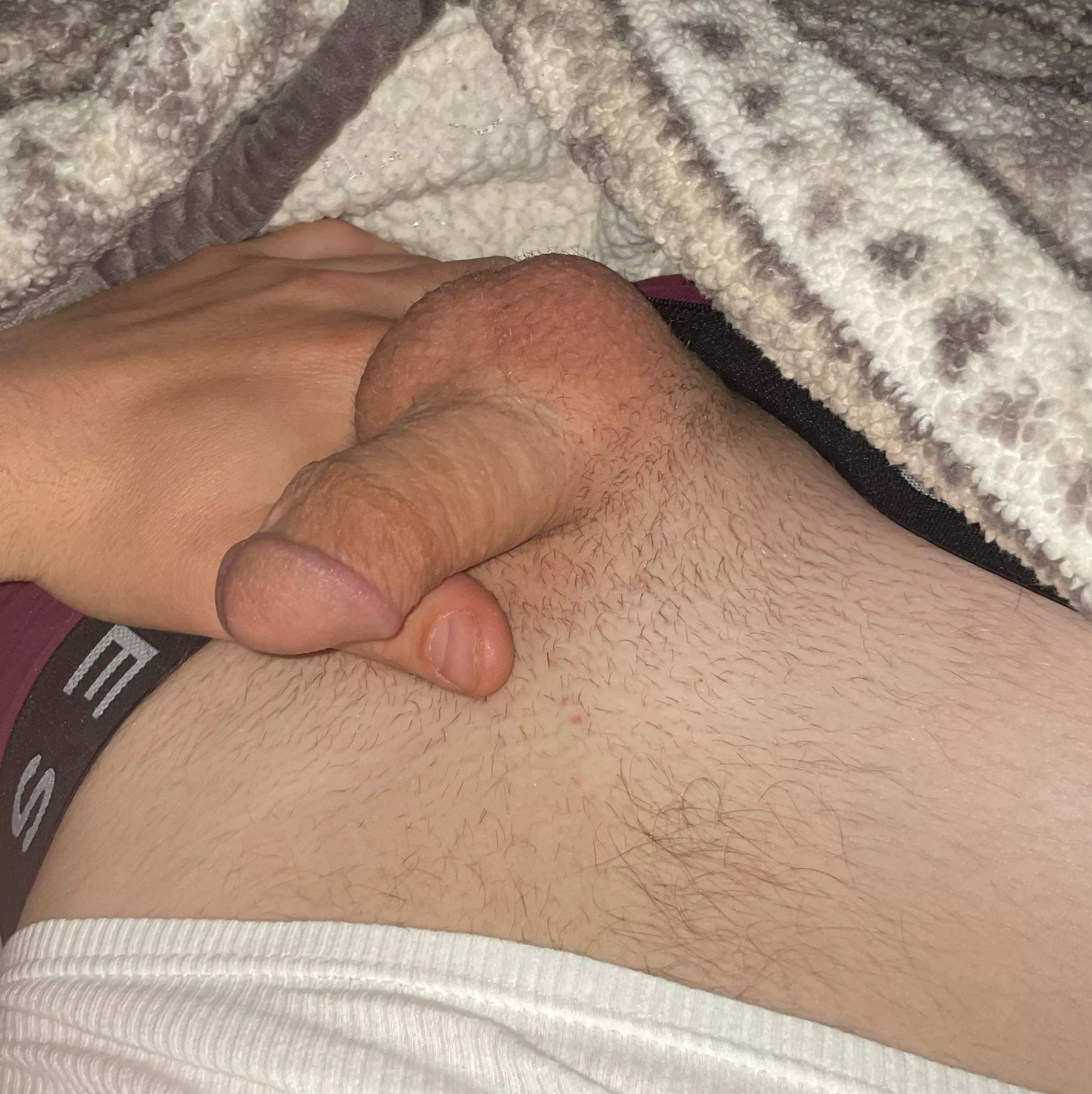 How’s my soft cock look with a little hair? posted by burnitdown696