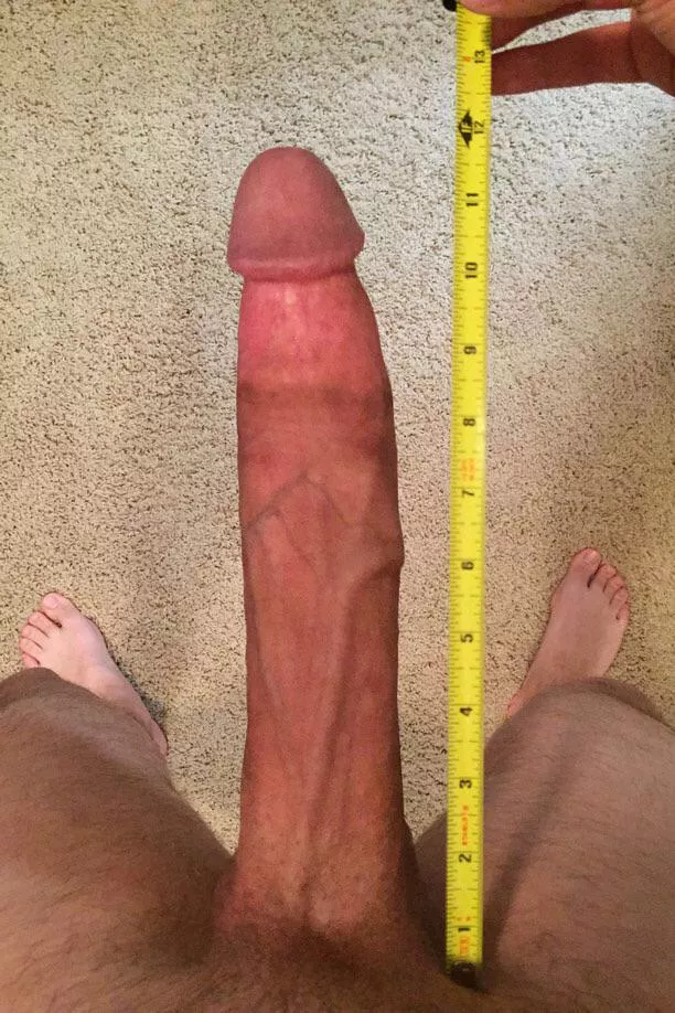 Rate my cock, your girlfriend would definitely love it🤫 posted by Equal_Distance280