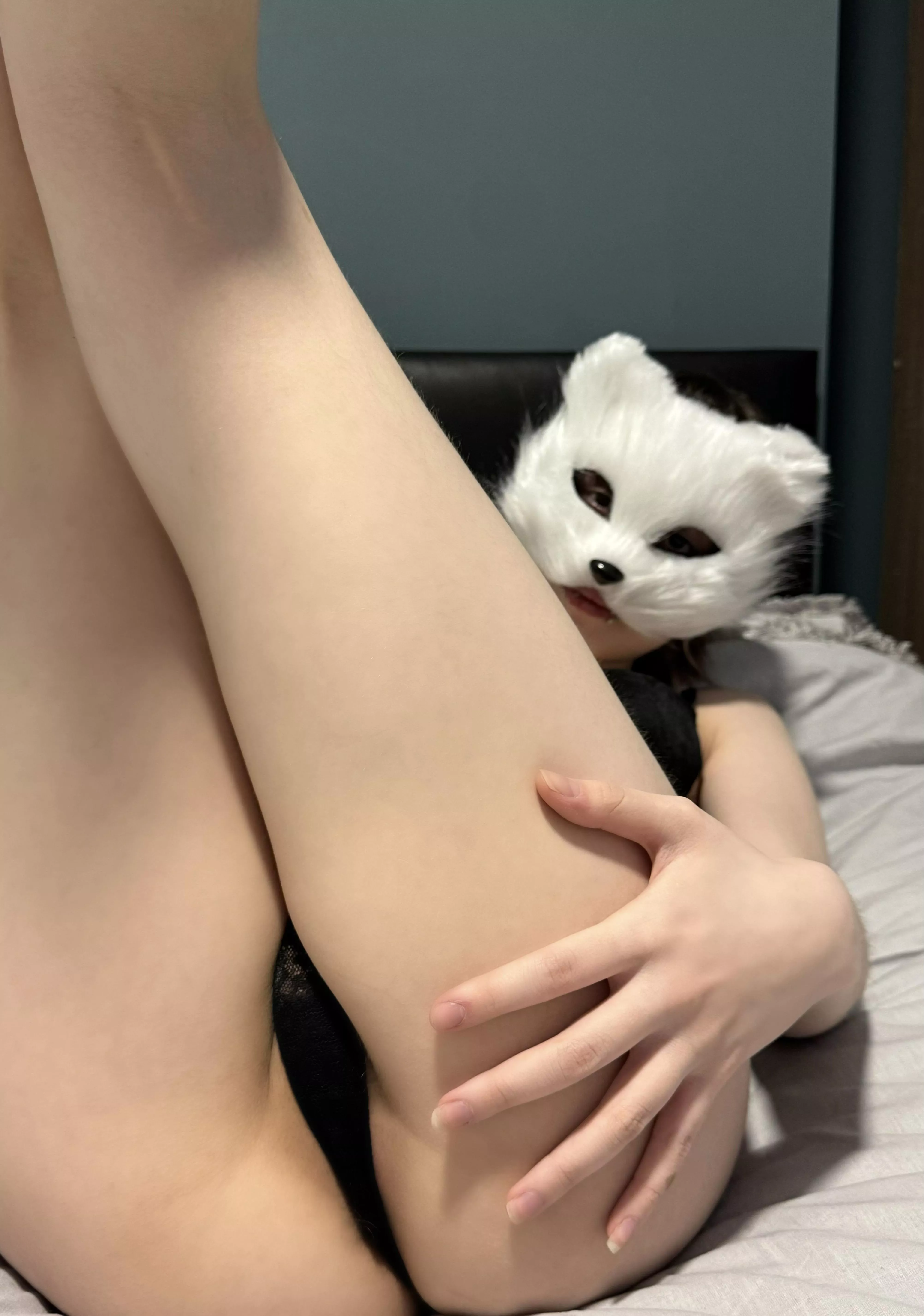 Say hi if you want to fuck me :d posted by K1ttyDumpst3r