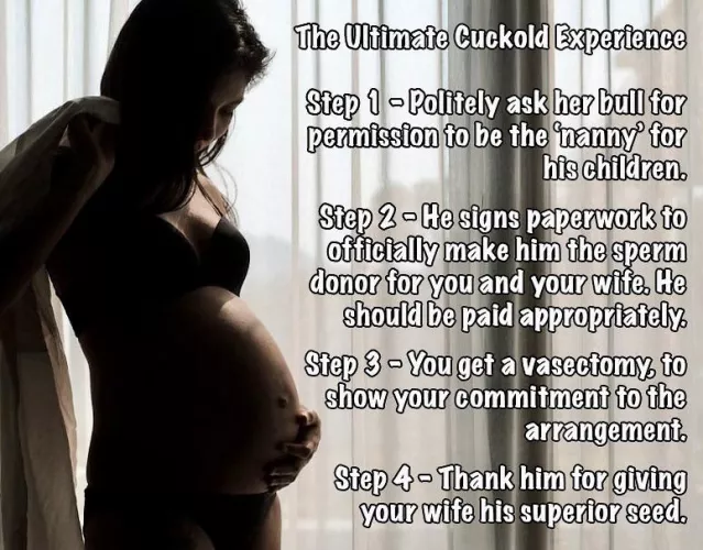 Steps 1-4. Easy, but would you..? by biffa_b_