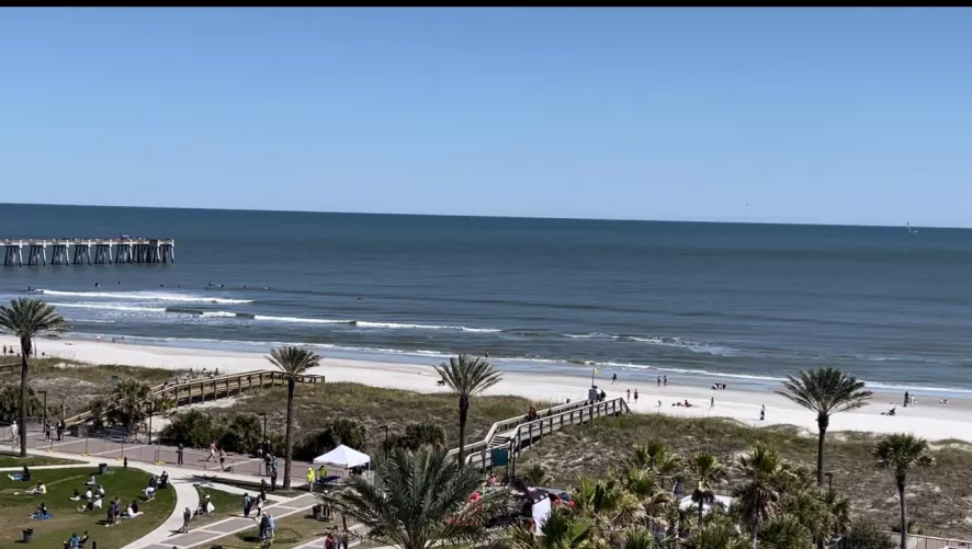 Sunny Beach Day by VagariTurtle