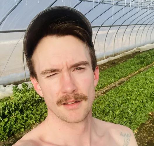 The sun’s pulling me through the rest of winter by farmgay92