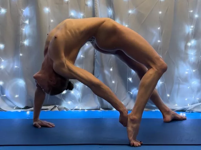 Wild Wheel by MereFit