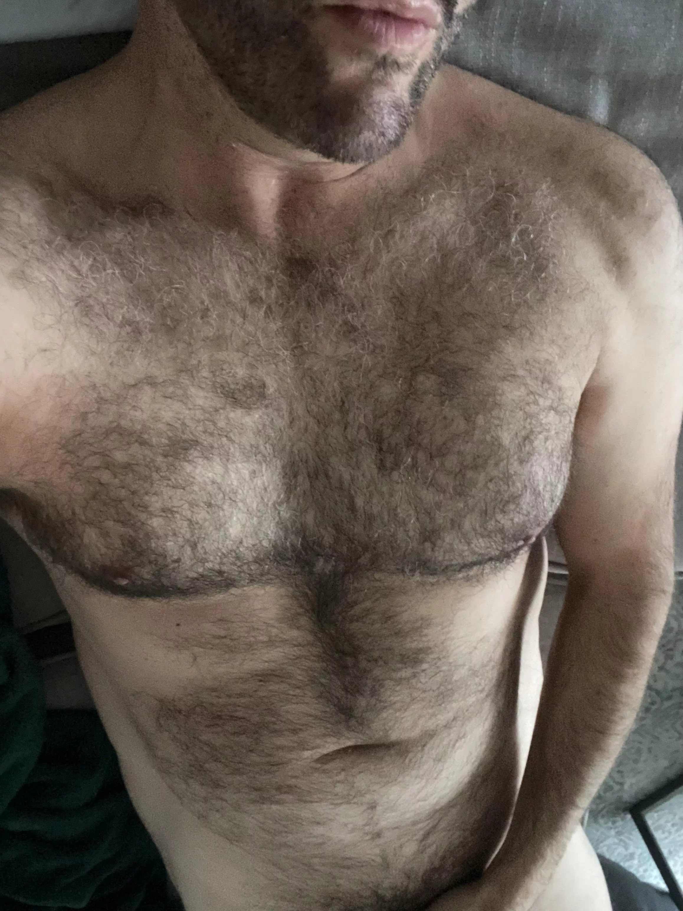 Yes, or No? (42) posted by ChristoGreyCA