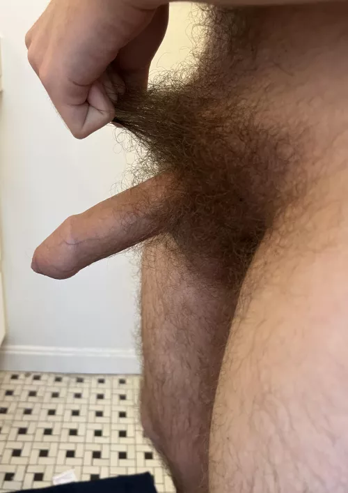 (22 college) this bush is getting out of hand… by average_pit_guy