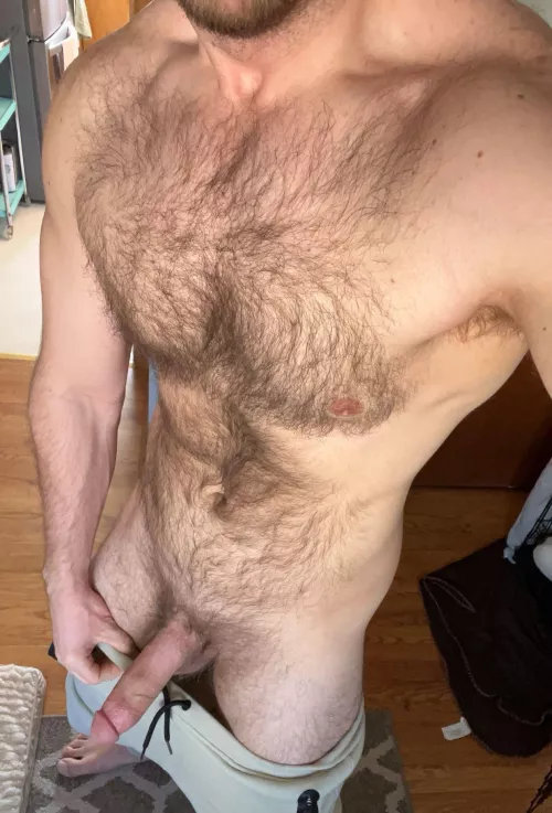 31 Sundevil012 by Deep_Snow6546