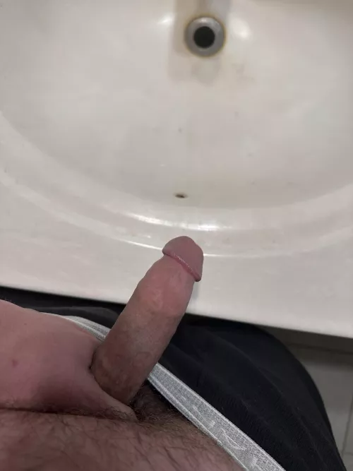 Can’t sleep, here’s my cock by AbrocomaUnhappy1825