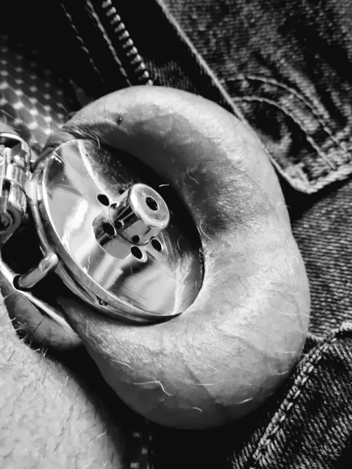 Downsizing  by RDBruin