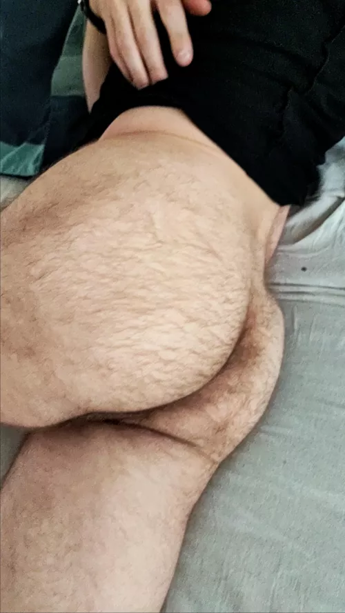 Hello Reddit  by breaking93