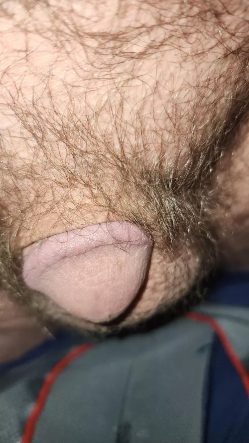 Help 36m by Sea_Thing_1115