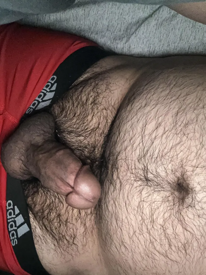 Just a bear with a hard cock by throwawayforgood28