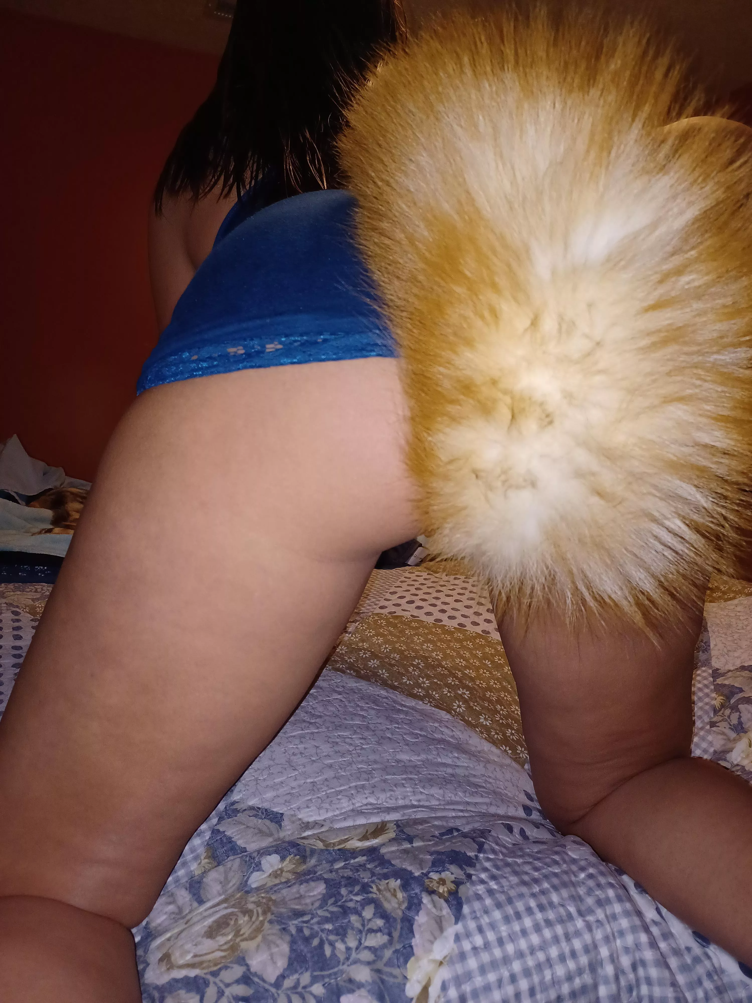 Lift My Tail posted by NaughtyFox85