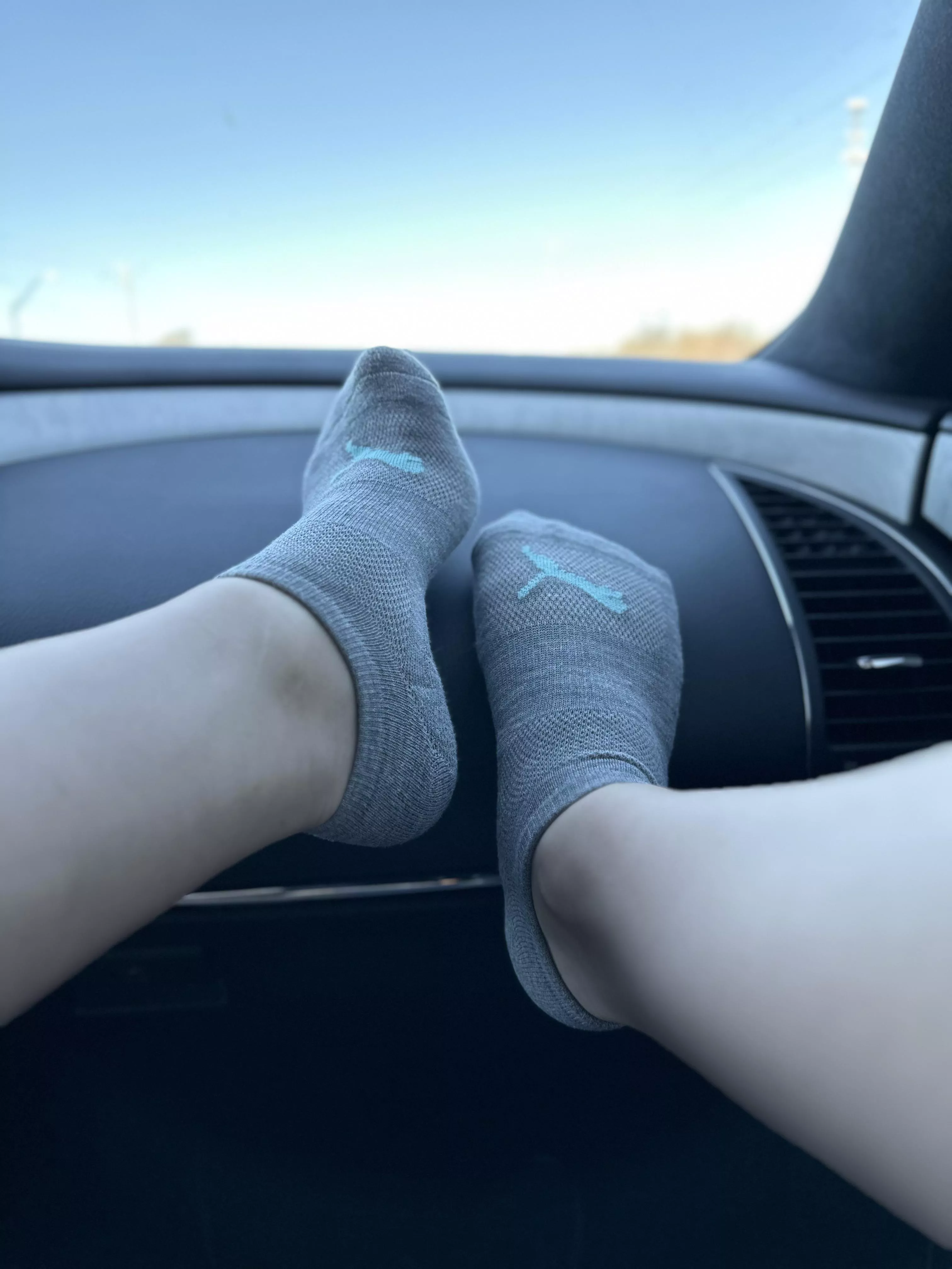 Passenger Princess for a coffee run. 🥰 posted by KElewa2591