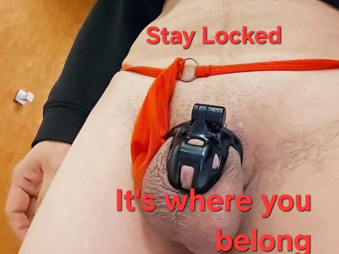 Stay locked by lockedinthecloset69
