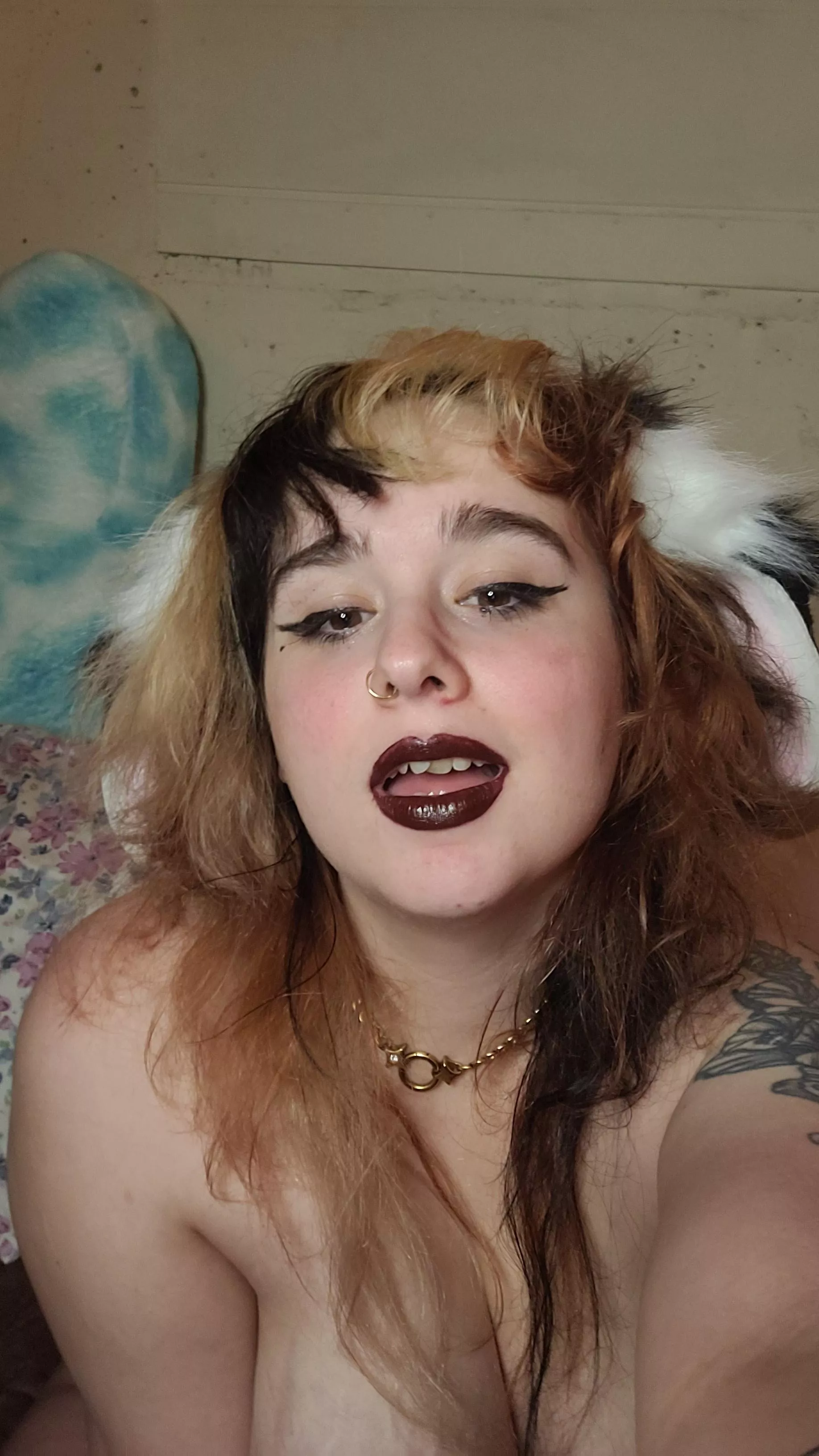 This Bunny has been working hard on looking pretty  posted by lochkneesmonster