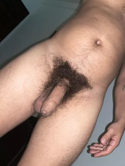 An uncut dick, with the smell of semen, and a dense bush by Western-Ad-7803