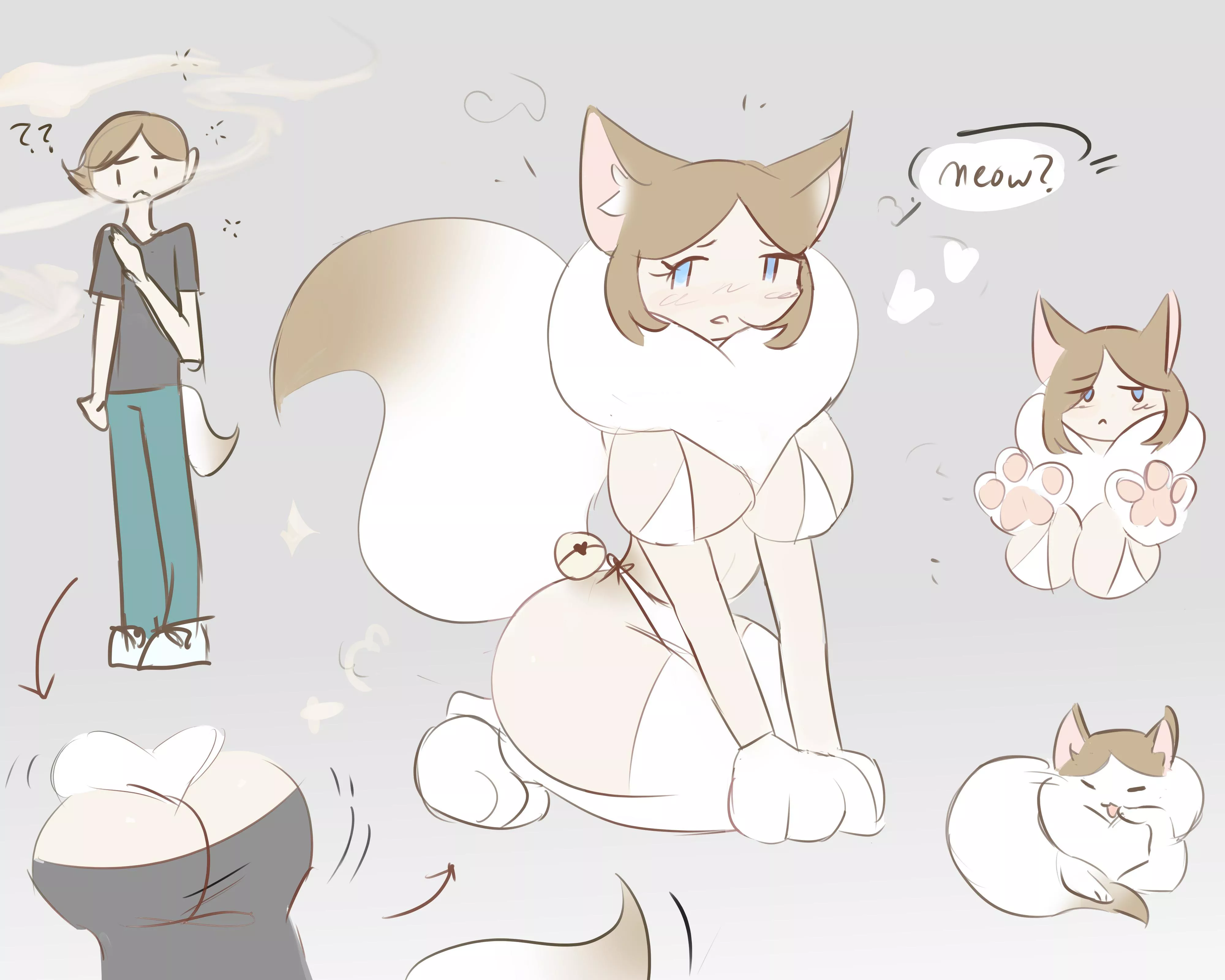 (Cat Condo) ragdoll cat tf uwu (oc) posted by Terrible_Existence