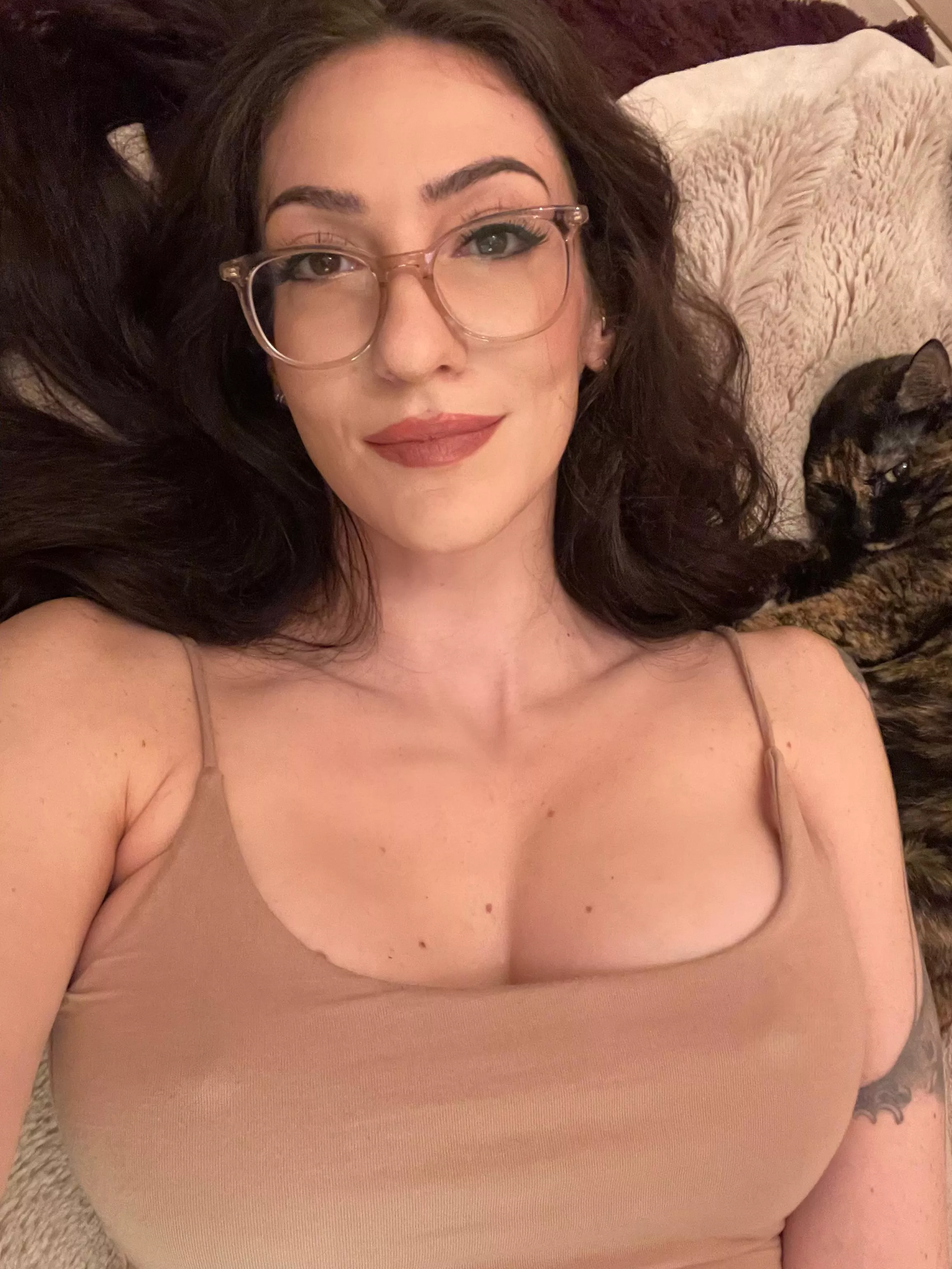 Cat knows good and well what I’m showing you here posted by giabambaci