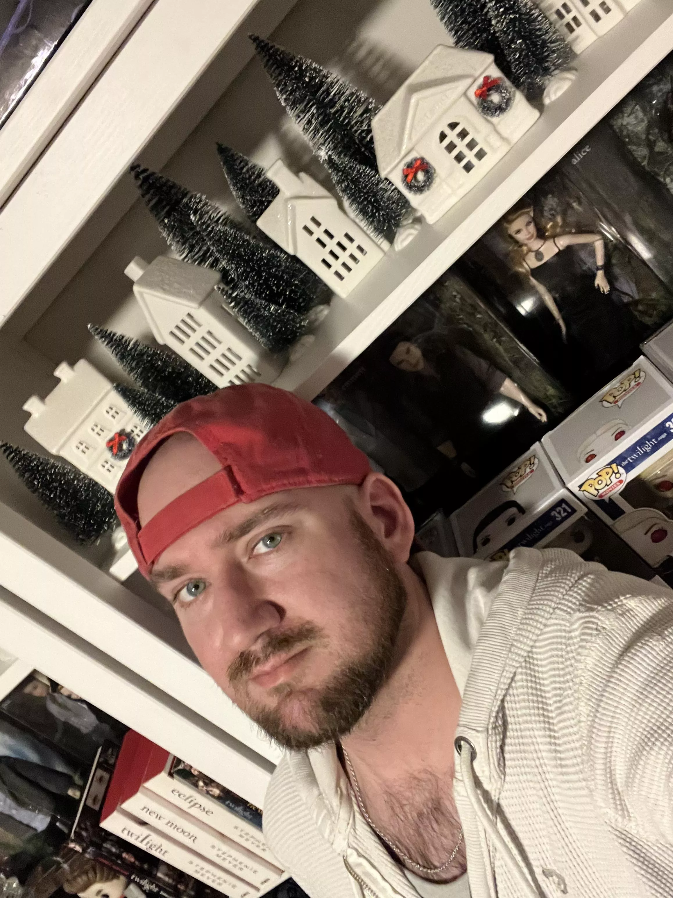 It’s the end of February and I still can’t bring myself to put away my Christmas village 🎄 posted by JustGenerico