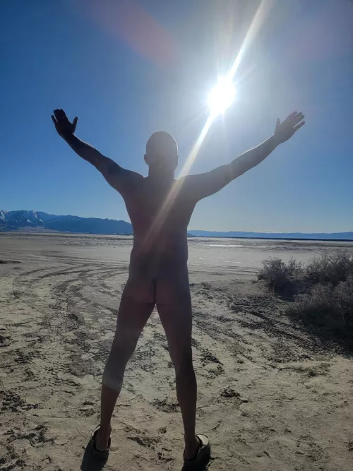 Loving the warm sun, common spring.  by Resident-Try-9456