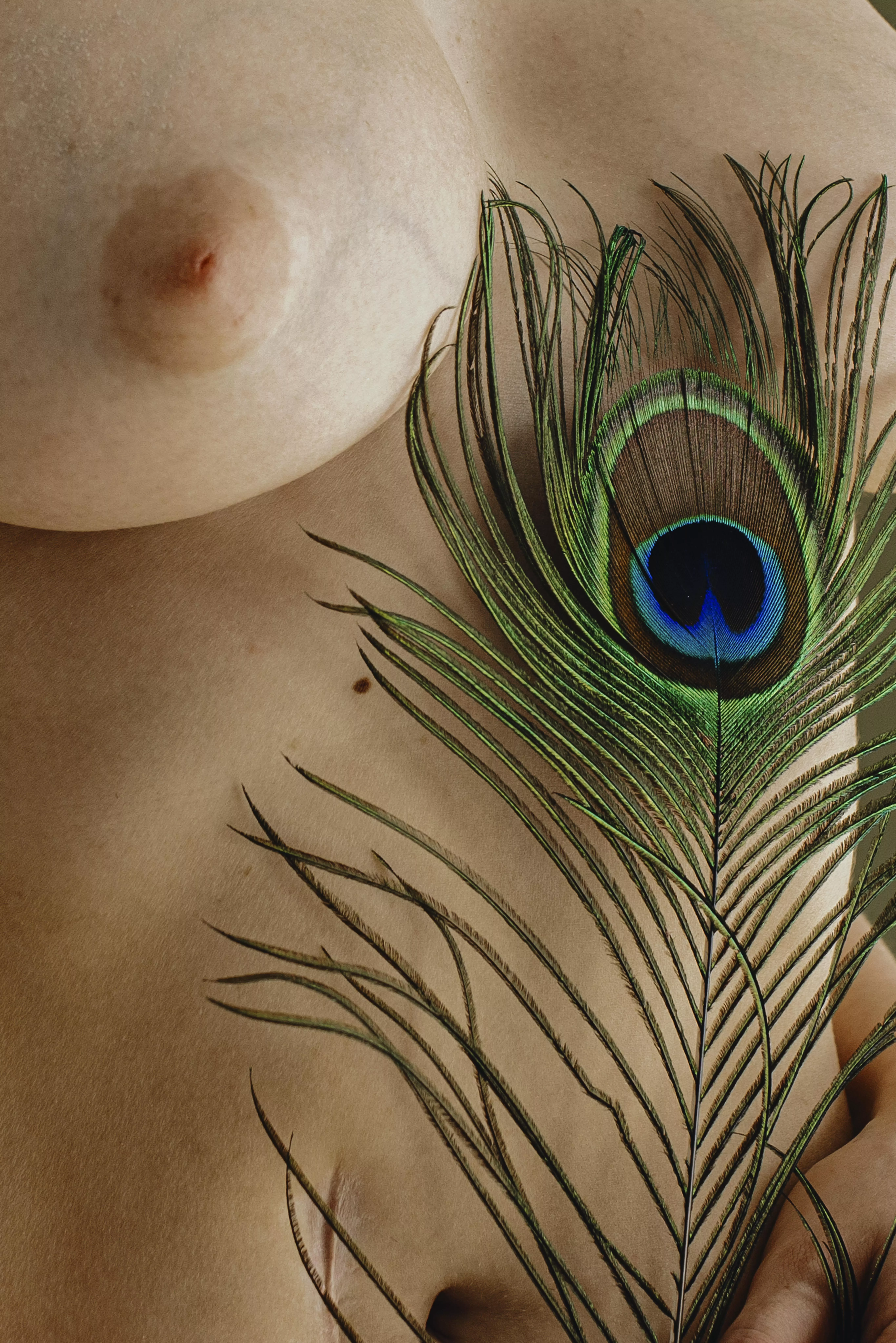 New variety of peacock posted by mihaylova_jpg