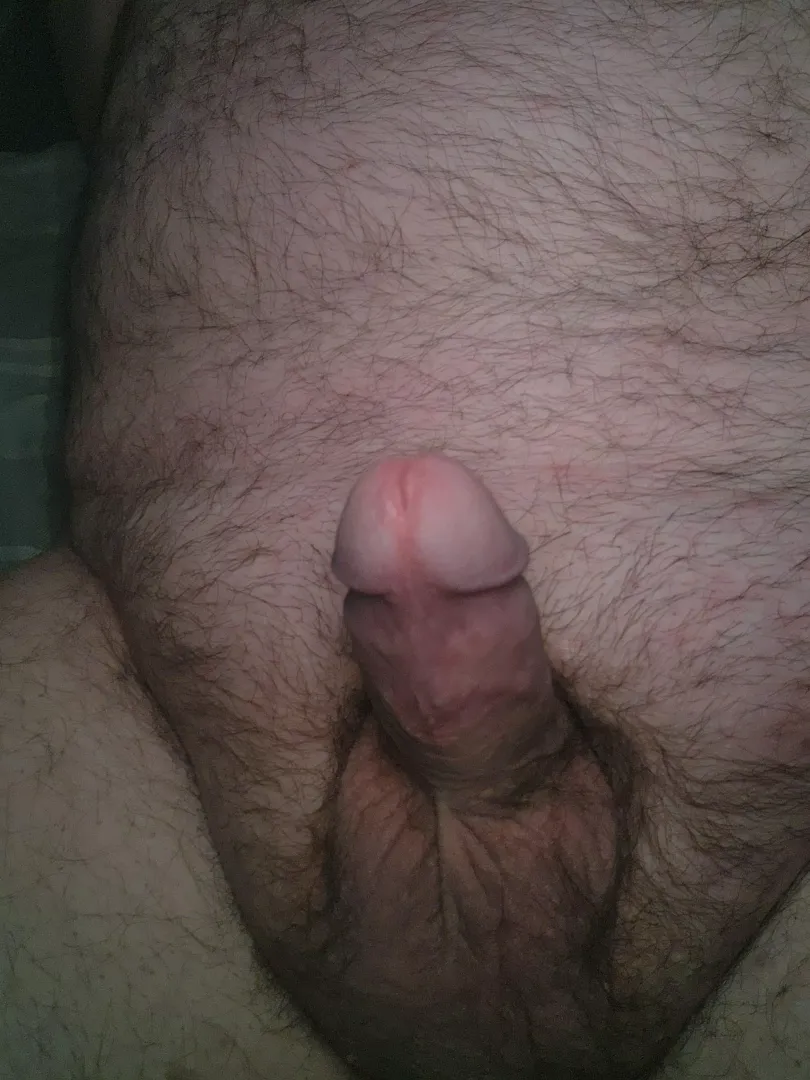 People always talk about poking the bear. What about sucking him off? posted by CdnBiBear