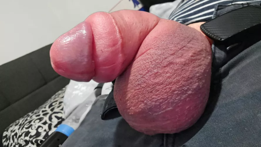 s w o l by jackaltank